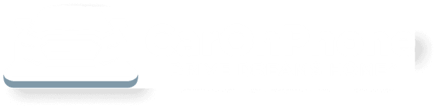 CarOnPhone: Drive Dreams Home