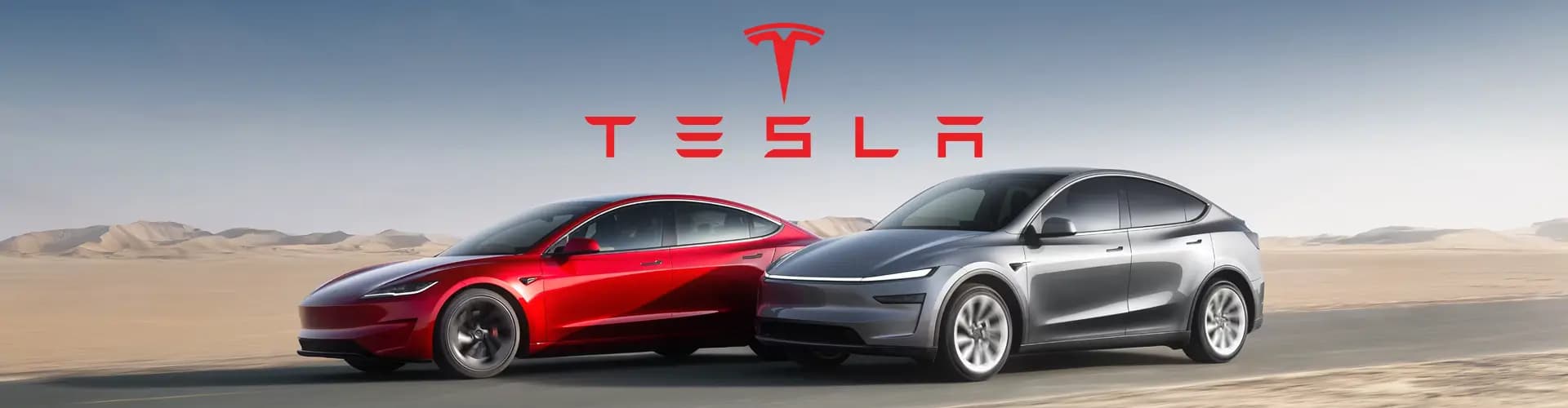 banner image for Tesla