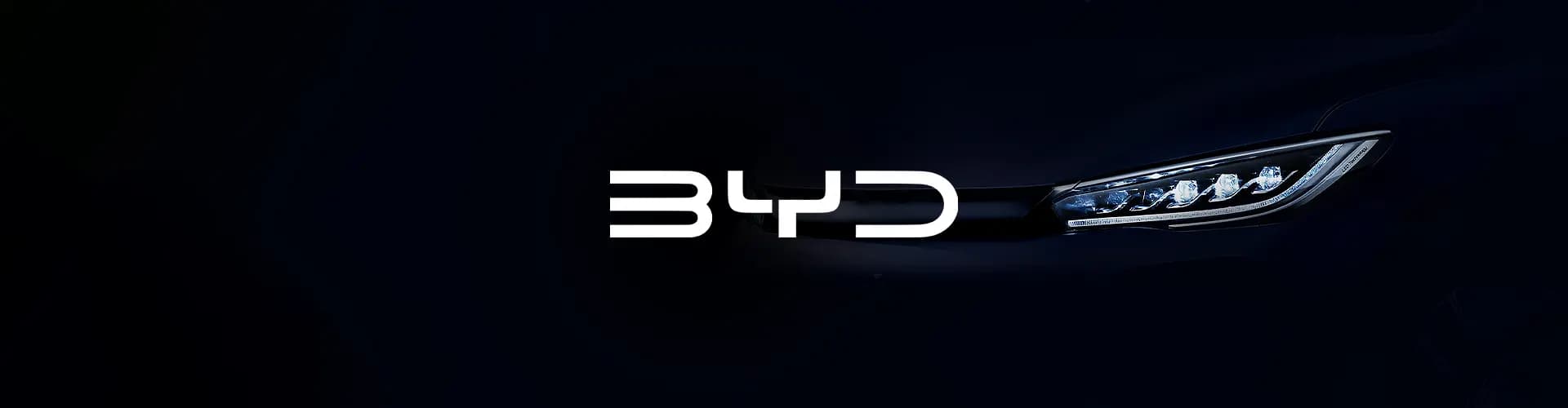 banner image for BYD