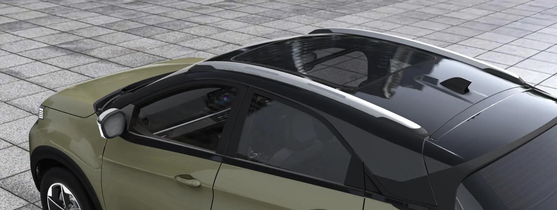 Tata Nexon Roof Rails