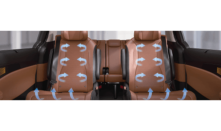 3-Point Seat Belts: for all rows