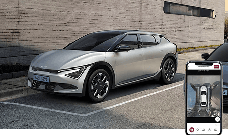 Remote Smart Parking