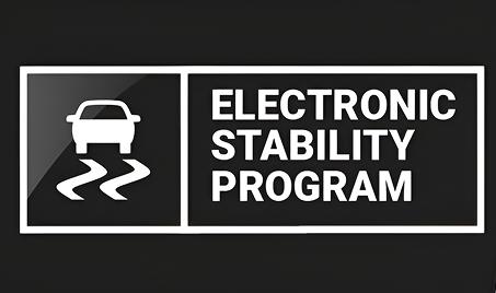 Electronic Stability Program (ESP)