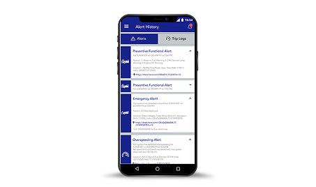 Maruti Suzuki Brezza - Safety Alerts