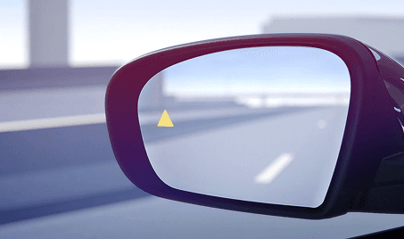 Blind-Spot Monitoring System
