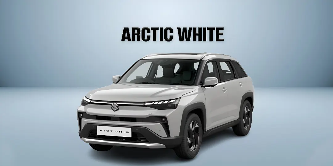 Arctic White