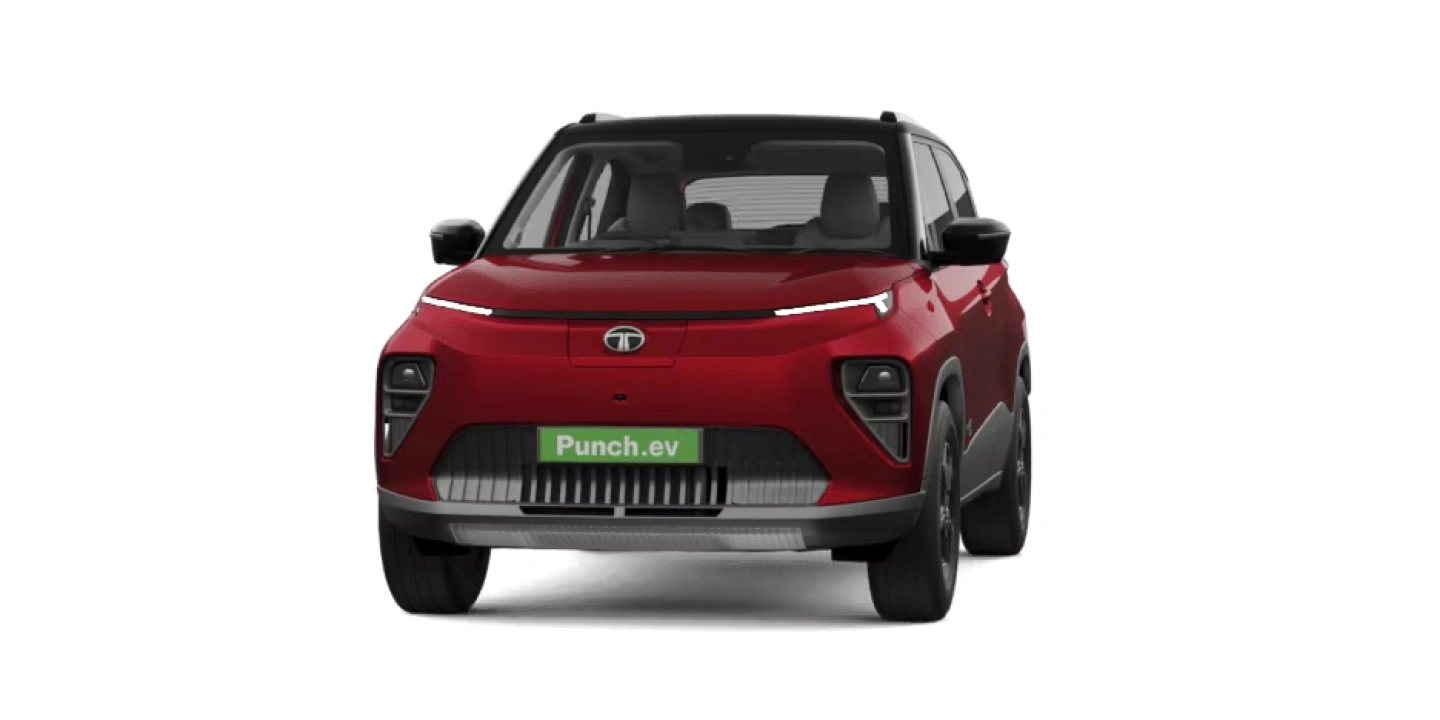 Bengal Rouge with Dual Tone 1