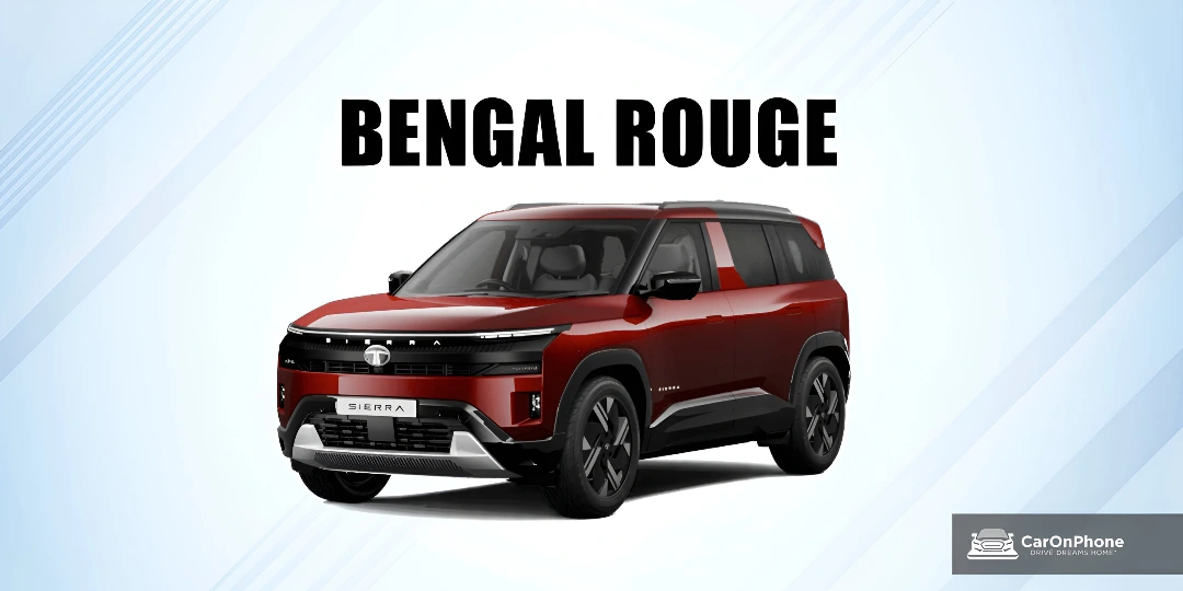 Bengal Rouge with Dual Tone