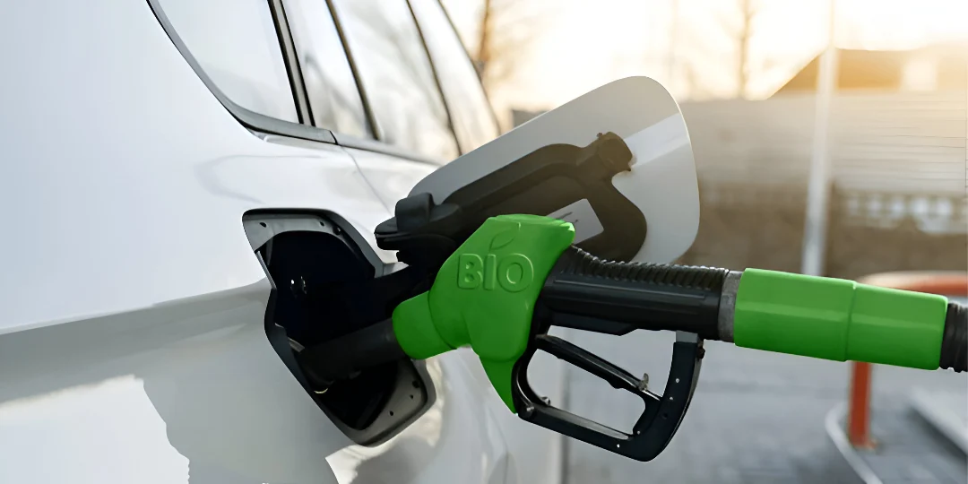 Does E20 Petrol Affect Mileage? Here’s All You Need to Know About Govt-Imposed Biofuel 