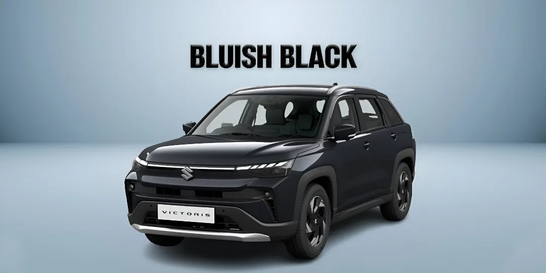 Bluish Black