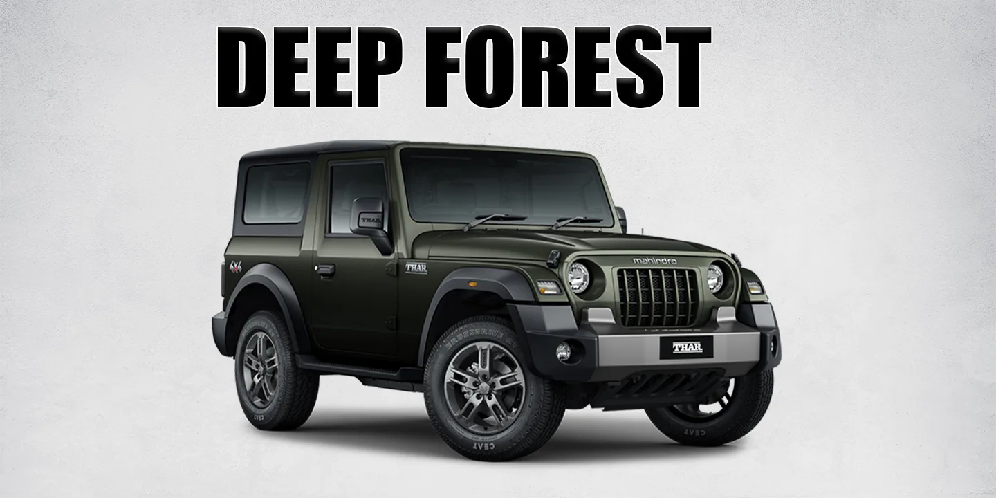 DEEP FOREST