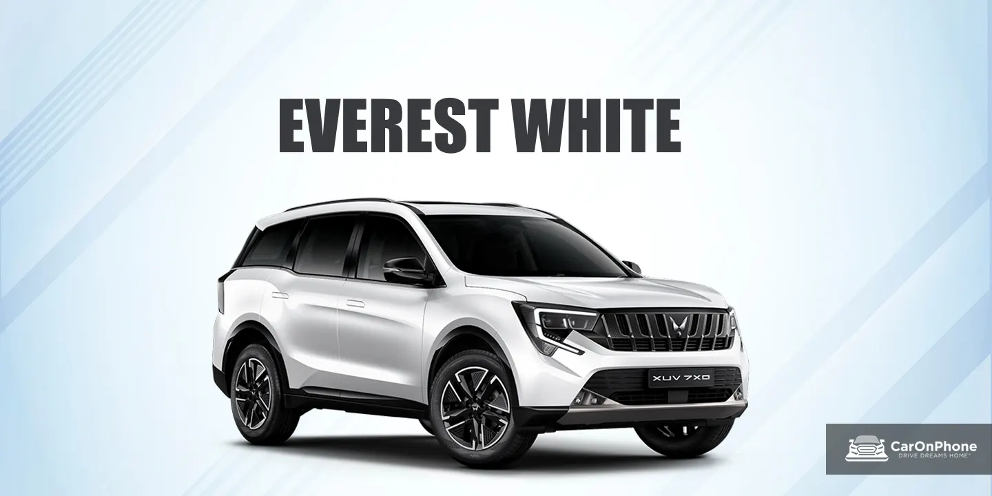 EVEREST WHITE 1