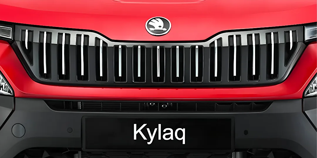 Front Bumper Garnish