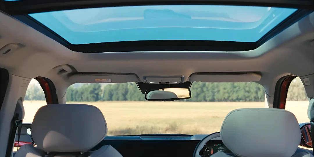 Other Confirmed Features_