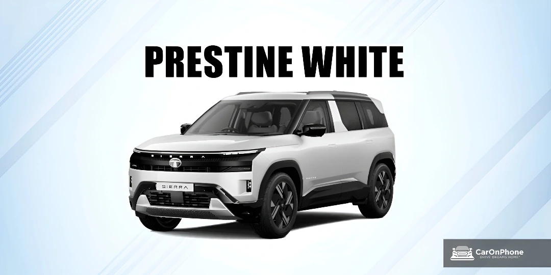 Prestine White with Dual Tone