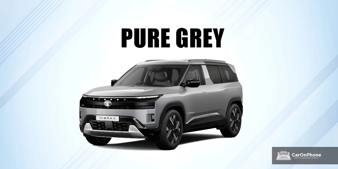 Pure Grey with Dual Tone