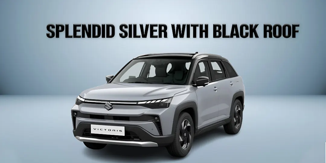 Splendid Silver with Black Roof