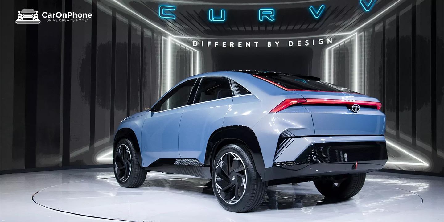 back rear view